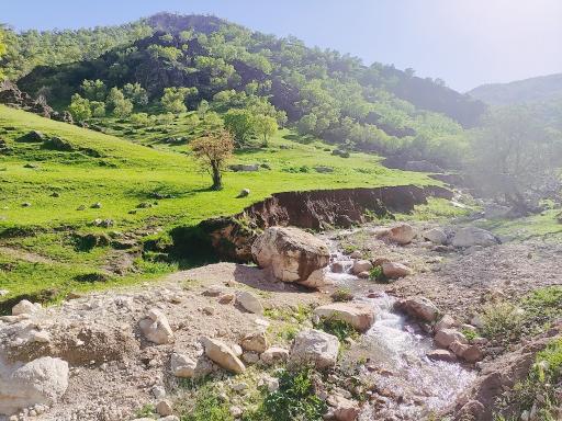 عکس منطقه لیتنجاب سرنجه زیودار
