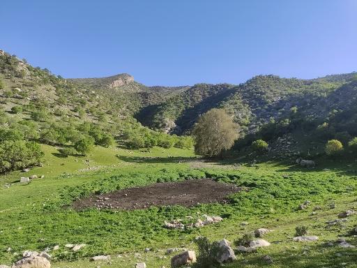 عکس منطقه لیتنجاب سرنجه زیودار