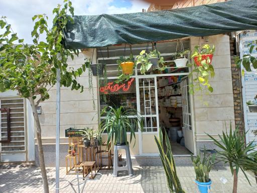 گل سرای آرین