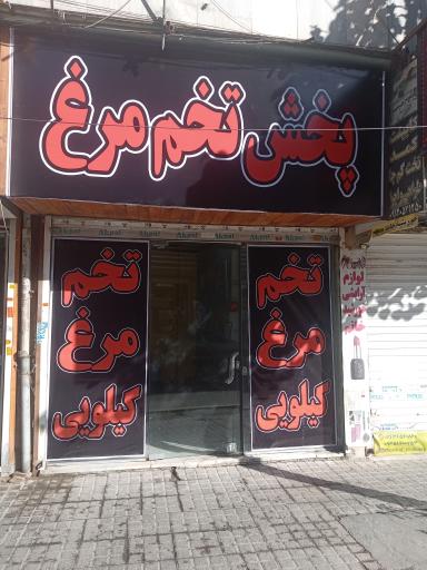 عکس پخش تخم مرغ