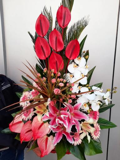 عکس گلسرای پونک