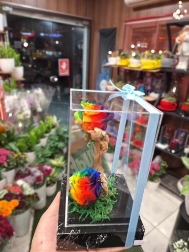 عکس گلسرای پونک