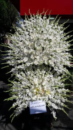 عکس گلسرای پونک