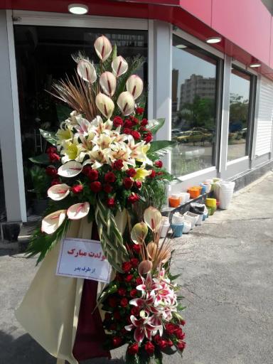 عکس گلسرای پونک