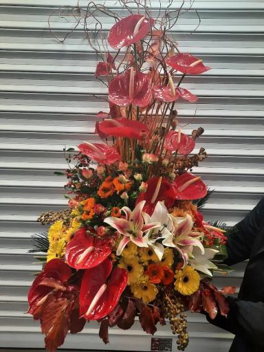 عکس گلسرای پونک