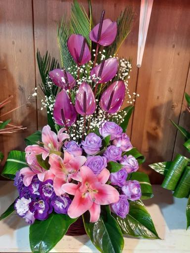 عکس گلسرای پونک