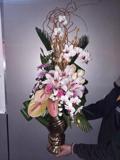 عکس گلسرای پونک