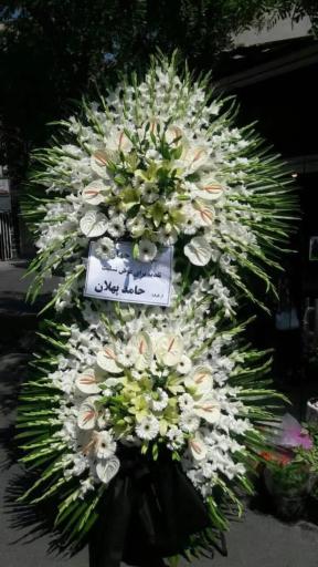 عکس گلسرای پونک