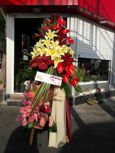 عکس گلسرای پونک