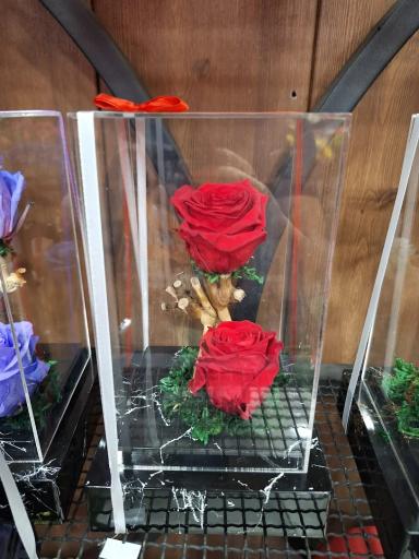 عکس گلسرای پونک