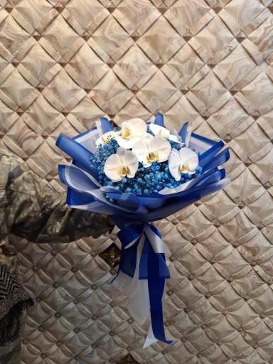 عکس گلسرای پونک