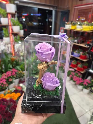 عکس گلسرای پونک