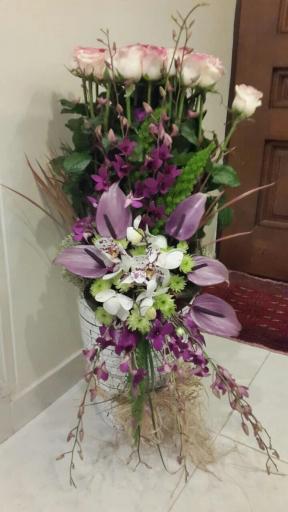 عکس گلسرای پونک