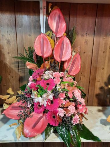 عکس گلسرای پونک