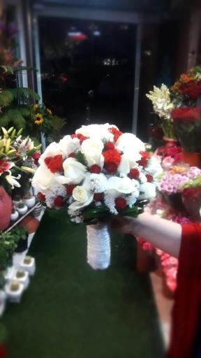 عکس گلسرای پونک