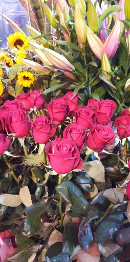 عکس گلسرای پونک