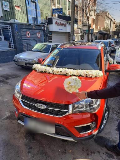 عکس گلسرای پونک