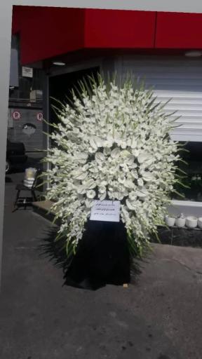 عکس گلسرای پونک