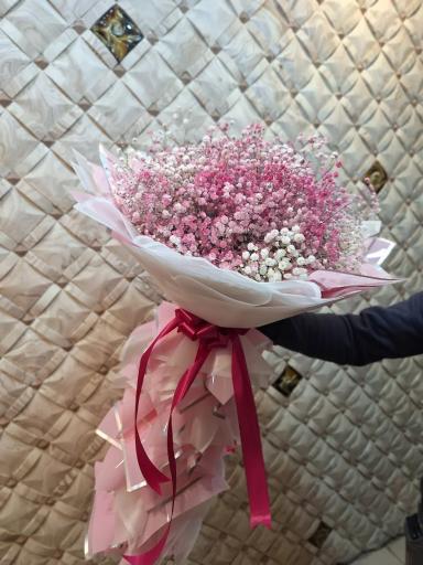 عکس گلسرای پونک