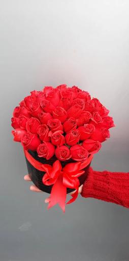 عکس گلسرای پونک