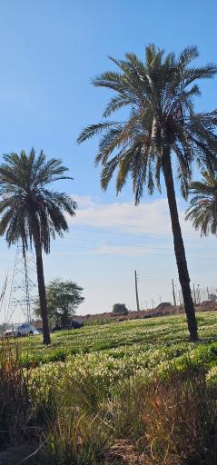 عکس شبیشه