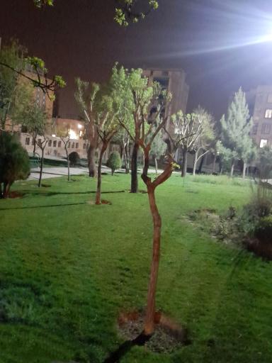 عکس بوستان فرهنگیان