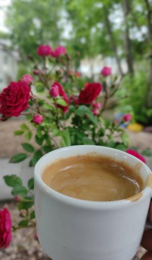 عکس کافه رستوران رازدار