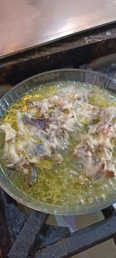 عکس طباخی پاچو