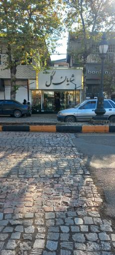 عکس گل فروشی شایان