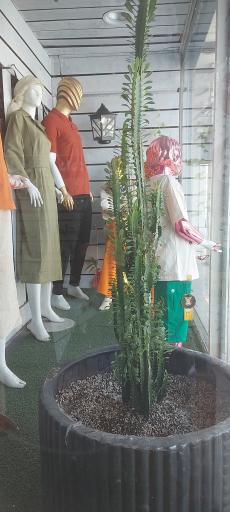 عکس فروشگاه البسه تاپ و توپ