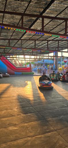 عکس شهربازی علوی