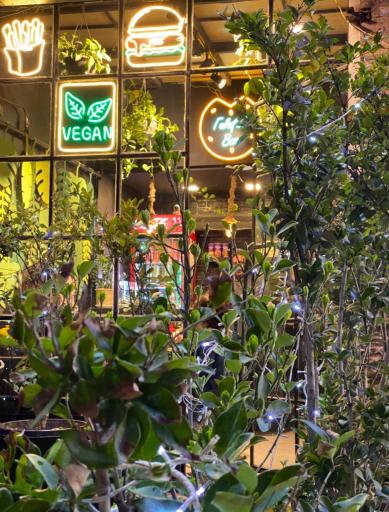 عکس فود باکس