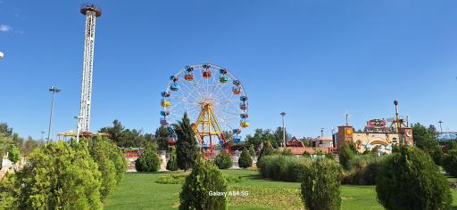 عکس شهربازی علوی