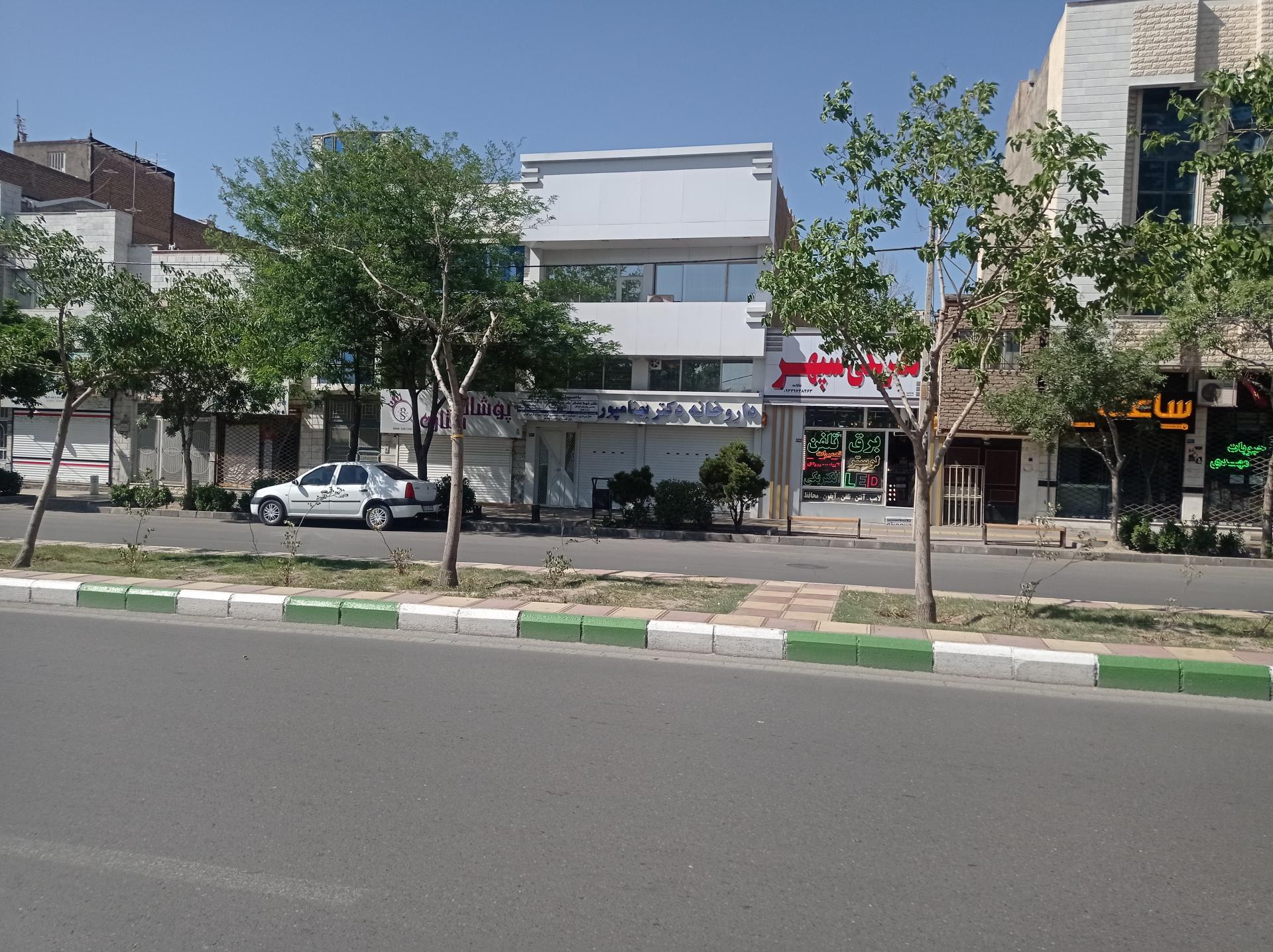 عکس دکتررامین مقصودلوراد
