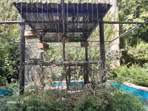 عکس رستوران دایه