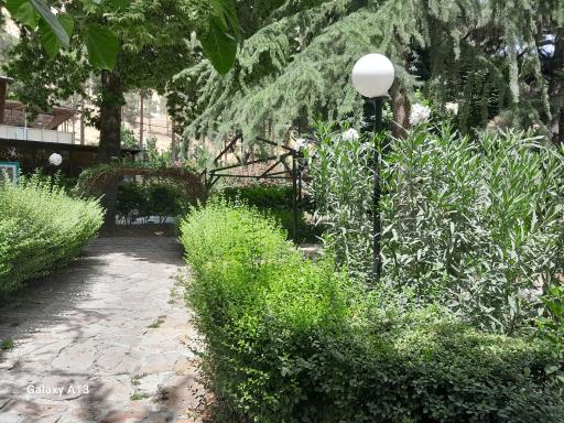 عکس رستوران دایه