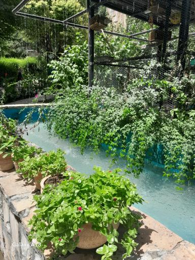 عکس رستوران دایه