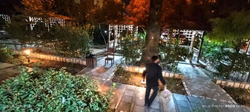 رستوران دایه