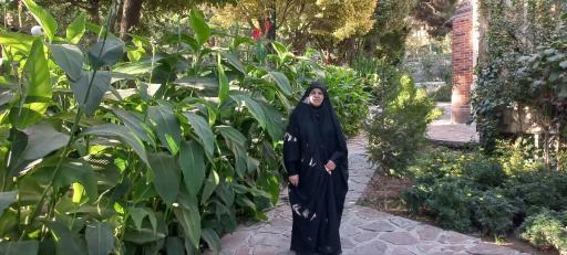 عکس رستوران دایه