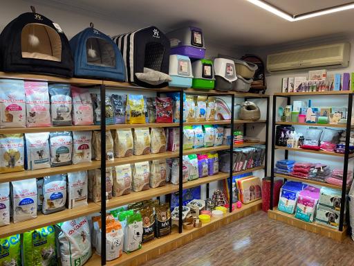 عکس کلینیک و پت شاپ رودا