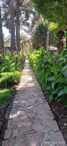 عکس رستوران دایه