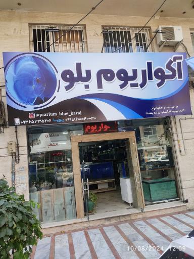 عکس آکواریوم بلو