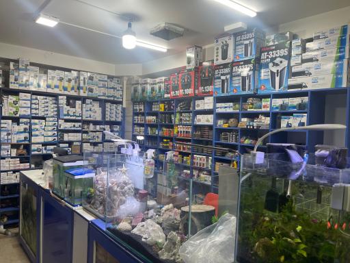 عکس آکواریوم بلو