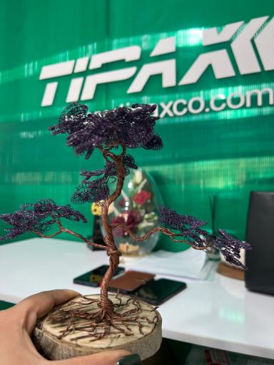 عکس تیپاکس شاهد سیرجان 