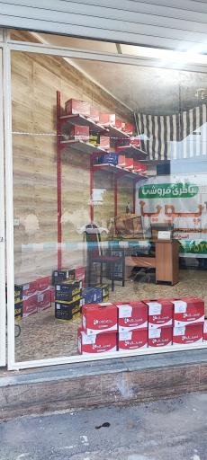 عکس باطری فروشی پویا