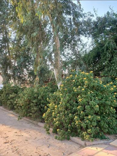 عکس آموزشکده فنی و حرفه ای دخترانه اهواز پردیس