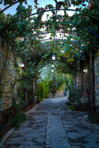 باغ رستوران بیشه