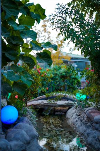 عکس باغ رستوران بیشه