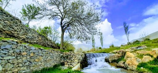 عکس آب شاه پسند هزاوه