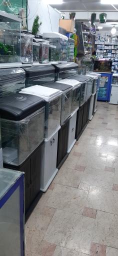 عکس آکواریوم بلو